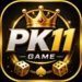 PK11 Game